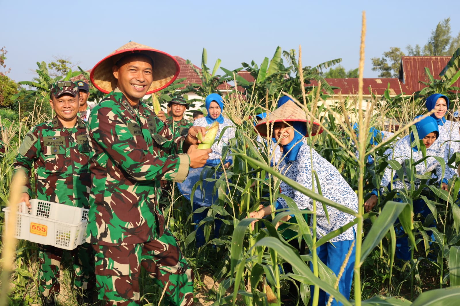 Panen Raya Serentak, Danlanal Dumai Perkuat Ketahanan Pangan Nasional Melalui Hasil Panen Jagung dan Panen Raya Serentak, Danlanal Dumai Perkuat Ketahanan Pangan Nasional Melalui Hasil Panen Jagung dan