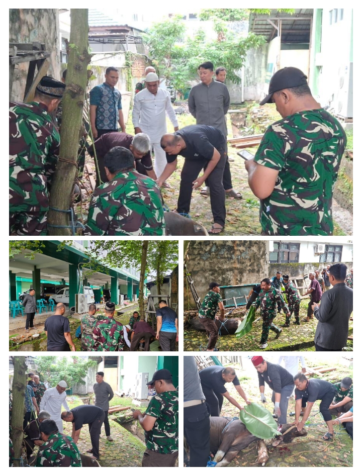 Kodim /Samarinda Gelar Penyembelihan Hewan Kurban Iduladha di Makodim Kodim /Samarinda Gelar Penyembelihan Hewan Kurban Iduladha di Makodim