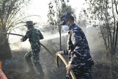 Lawan Karhutla, Danlanal Banjarmasin Bersama Forkopimda Kalsel Turun Langsung ke Hutan Lindung Kurni Lawan Karhutla, Danlanal Banjarmasin Bersama Forkopimda Kalsel Turun Langsung ke Hutan Lindung Kurni