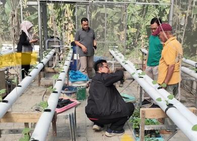 Taufiq, dari ASN Beralih ke Melon Taufiq, dari ASN Beralih ke Melon