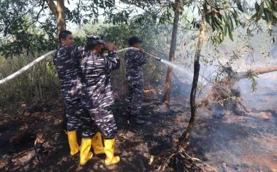Respons Cepat, Lanal Banjarmasin Bersama Tim Gabungan Lokalisir Karhutla di Guntung Damar Respons Cepat, Lanal Banjarmasin Bersama Tim Gabungan Lokalisir Karhutla di Guntung Damar